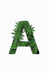 Similar image 21070037