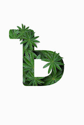 Similar image 21071474