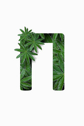 Similar image 21070038