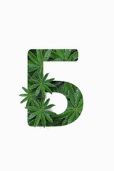 Similar image 21070039