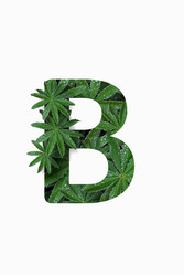 Similar image 21070040