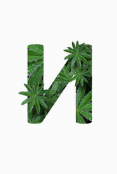 Similar image 21070041