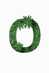 Similar image 21070042