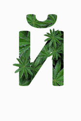 Similar image 21070043