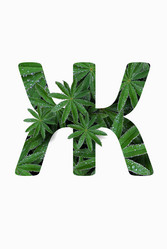 Similar image 21070045