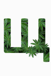 Similar image 21071480