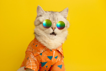 Similar image 21063163