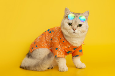 Similar image 21063164