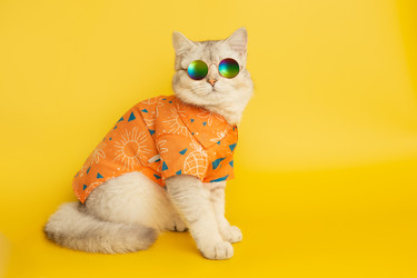 Similar image 21063166