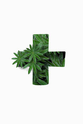 Similar image 21063292