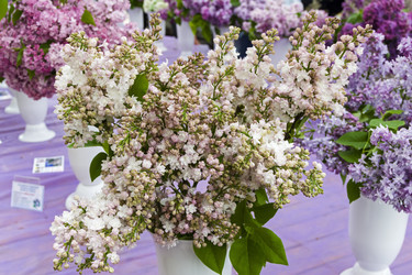 Similar image 21066556