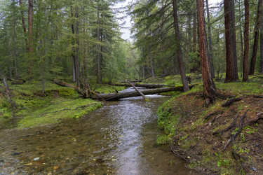 Similar image 21066557