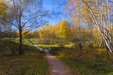 Similar image 21066810