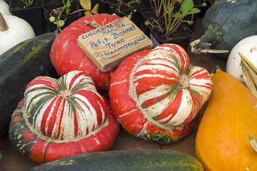 Similar image 21066816