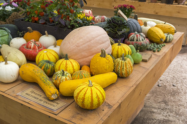 Similar image 21066817