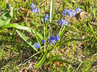 Similar image 21066571