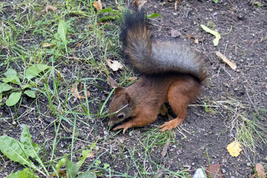 Similar image 21066583