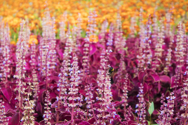 Similar image 21066584