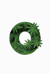 Similar image 21066585