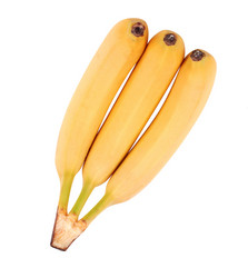 Similar image 21067895