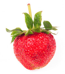 Similar image 21067900