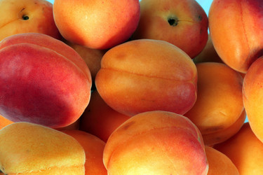 Similar image 21067903