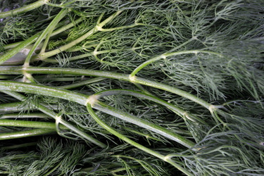 Similar image 21067944