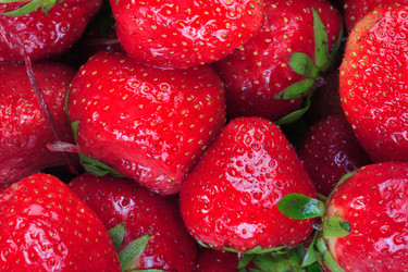 Similar image 21067946