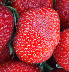 Similar image 21067948