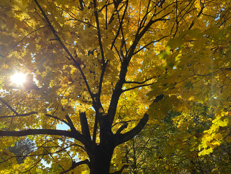 Similar image 21067956