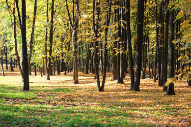 Similar image 21067957