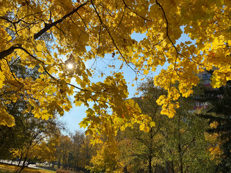 Similar image 21067958