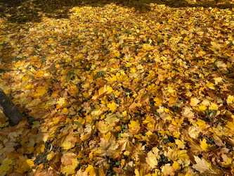 Similar image 21067959