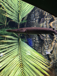 Similar image 21064138