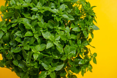 Similar image 21066587