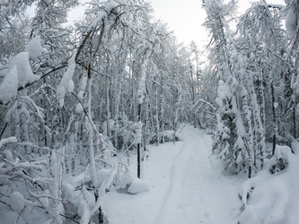 Similar image 21066696