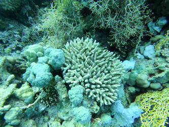 Similar image 21066712