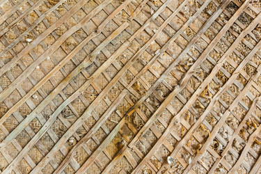 Similar image 21066715