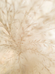 Similar image 21066717