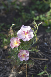 Similar image 21066286