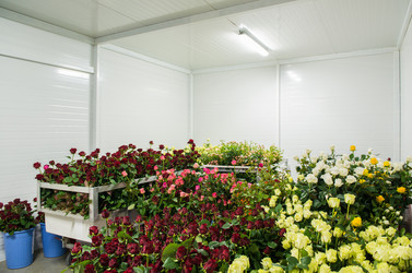 Similar image 21066403