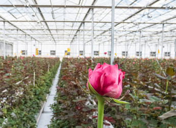 Similar image 21066422