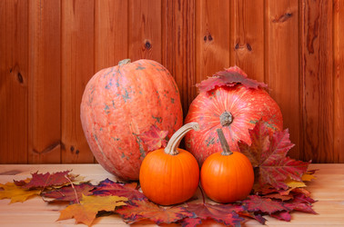 Similar image 21066295