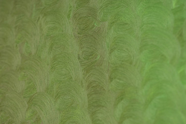 Similar image 21066304