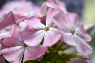 Similar image 21066311