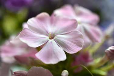 Similar image 21066312