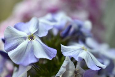 Similar image 21066480