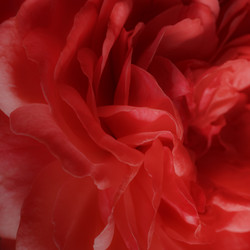 Similar image 21066600