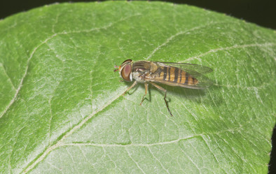 Similar image 21066603