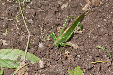 Similar image 21066313